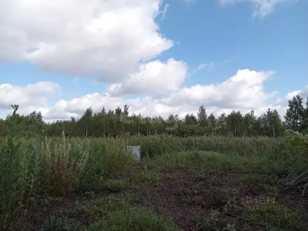 Участок в Тюменская область, Тюмень Большое Царево-2 СНТ,  (9.38 сот.) - Фото 2