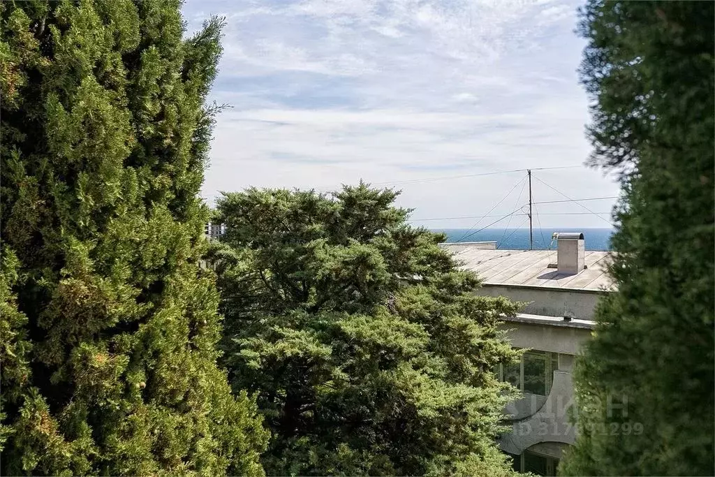 Комната Крым, Ялта муниципальный округ, Кореиз пгт ш. Алупкинское, 2 - Фото 0