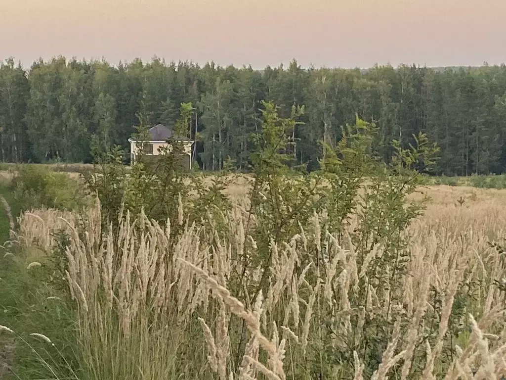 Участок в Татарстан, Лаишево  (10.0 сот.) - Фото 2