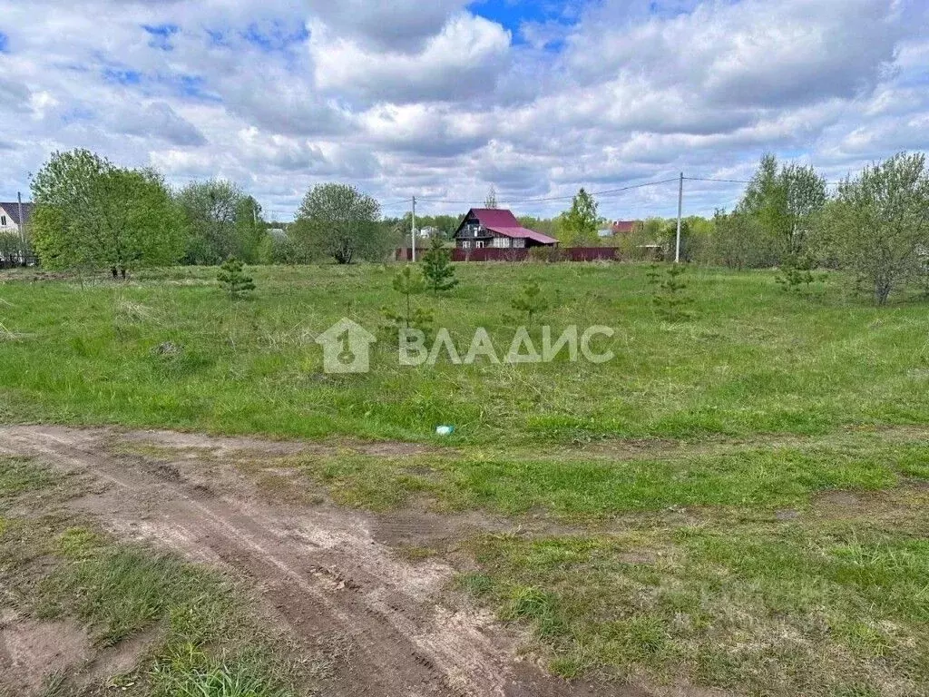 Участок в Владимирская область, Собинский муниципальный округ, д. ... - Фото 1