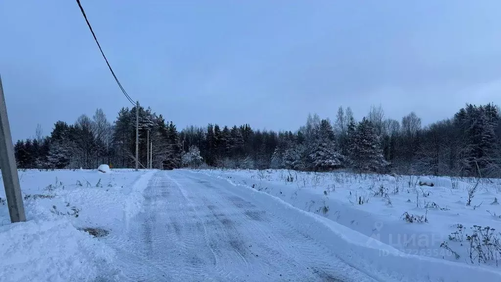 Участок в Ленинградская область, Приозерский район, Красноозерное ... - Фото 1
