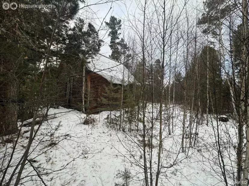Участок в посёлок городского типа Усть-Баргузин, улица Комарова (10 м) - Фото 1