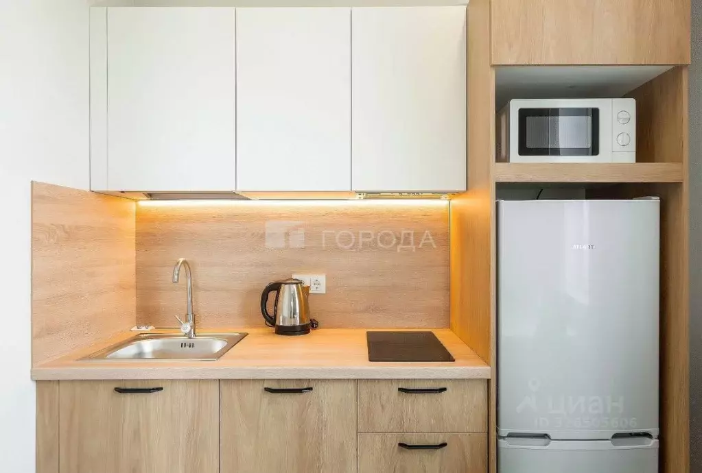 1-к кв. Новосибирская область, Новосибирск ул. Кирова, 113/2 (33.0 м) - Фото 1