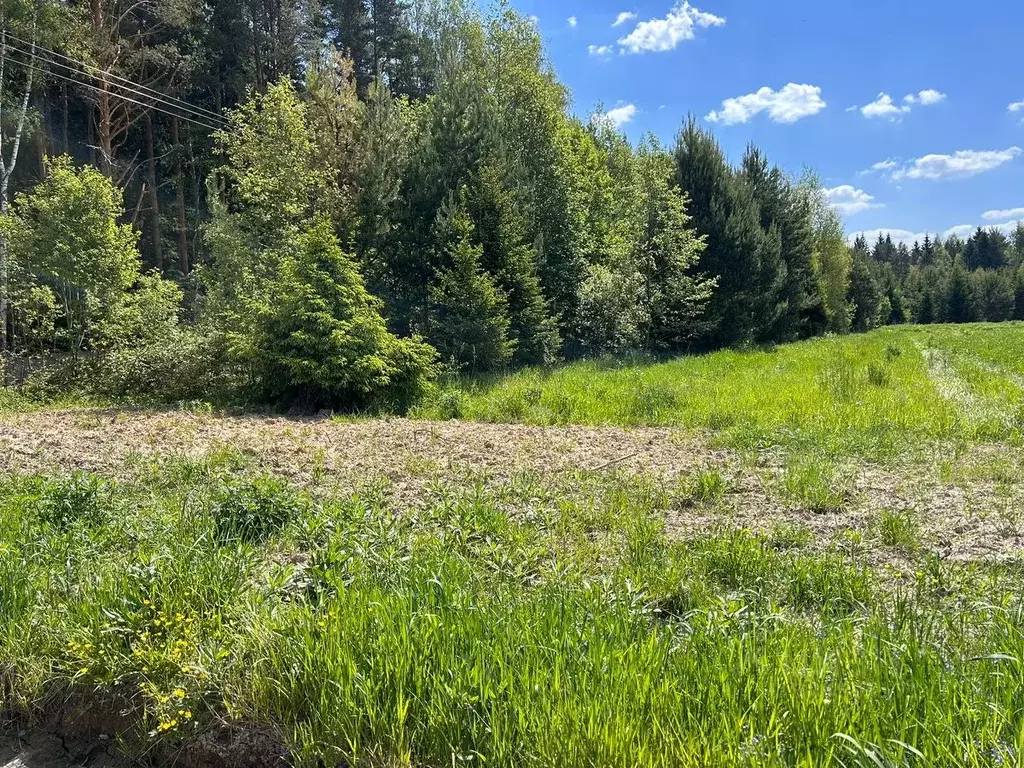 Участок в Московская область, Клин городской округ, Решетниково рп  ... - Фото 1