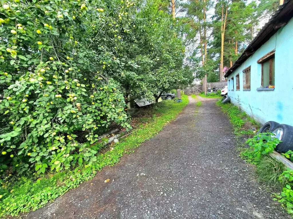 Помещение свободного назначения (160 м) - Фото 2