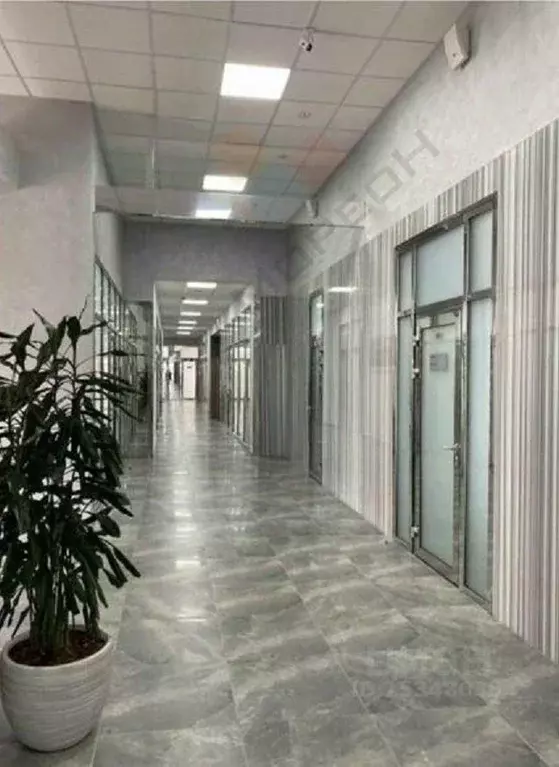 Офис в Краснодарский край, Краснодар ул. Имени Дзержинского, 8 (43 м) - Фото 1