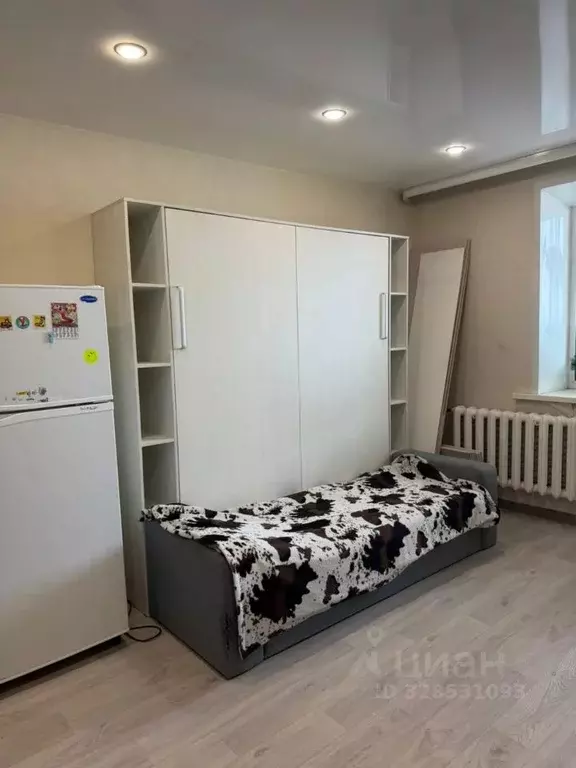 1-к кв. Амурская область, с. Тамбовка ул. Штойко, 8А (30.3 м) - Фото 1