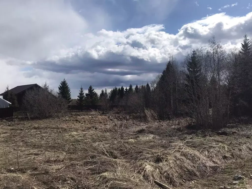 Участок в Вологодская область, Кирилловский муниципальный округ, д. ... - Фото 1