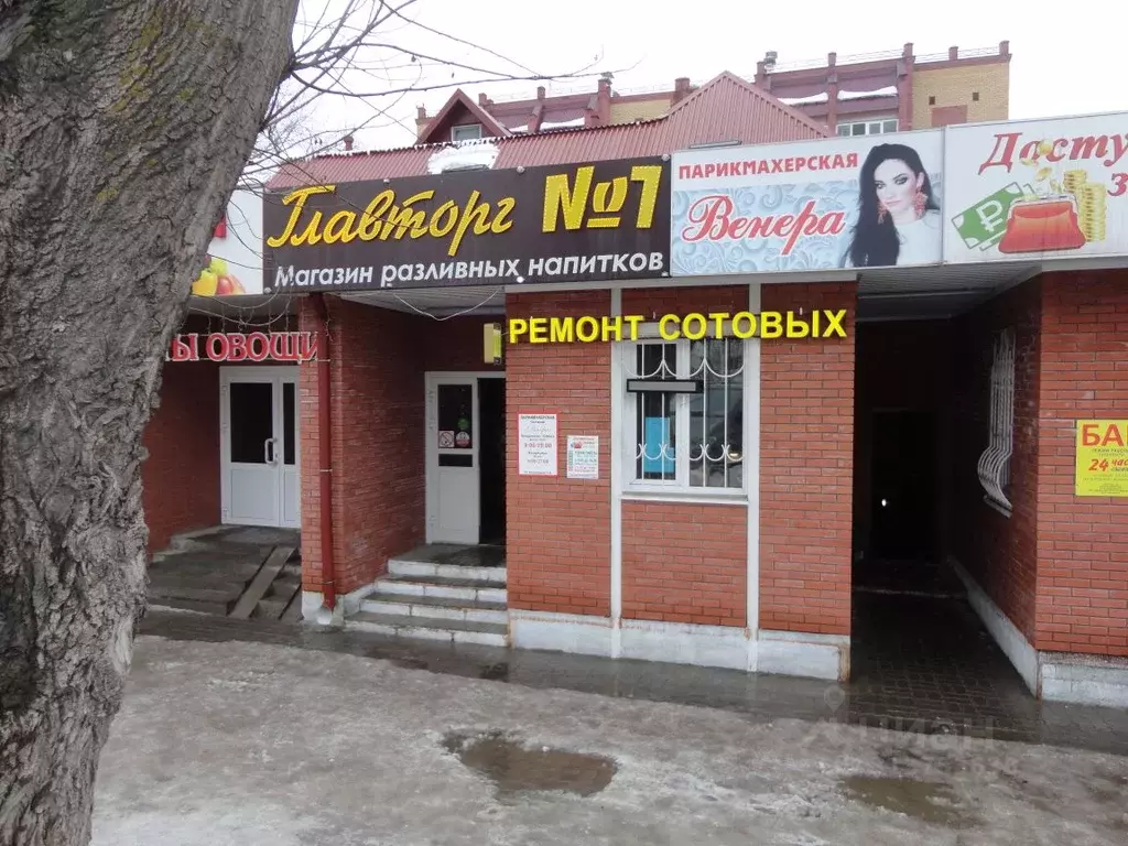 Помещение свободного назначения в Татарстан, Зеленодольск Столичная ... - Фото 0
