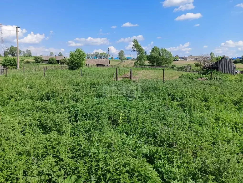 Участок в Башкортостан, Кармаскалинский район, Кабаковский сельсовет, ... - Фото 1