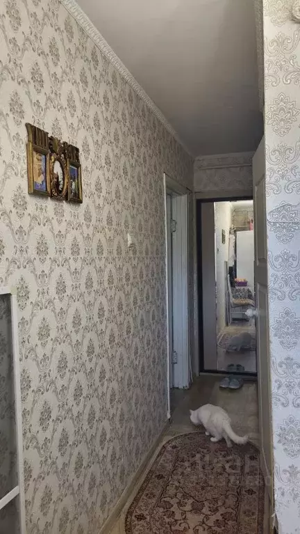 1-к кв. Курганская область, Курган ул. Урицкого, 151 (30.0 м) - Фото 2