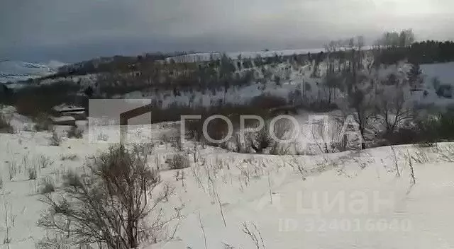 Участок в Алтайский край, Алтайский район, с. Алтайское ул. А.А. ... - Фото 1