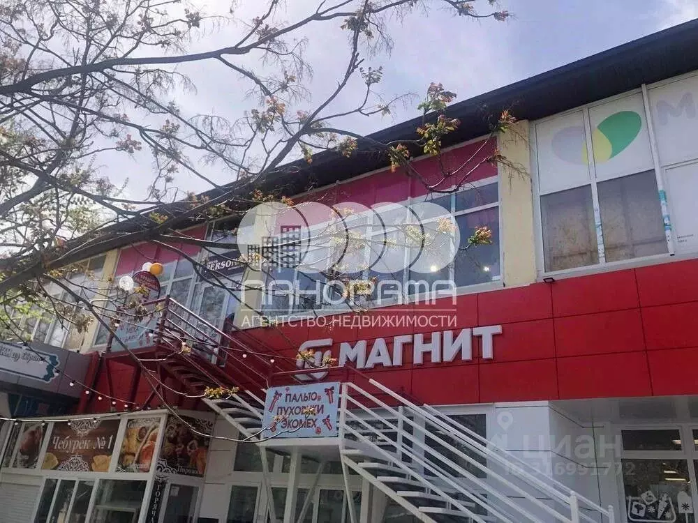 Помещение свободного назначения в Краснодарский край, Анапа ул. ... - Фото 0