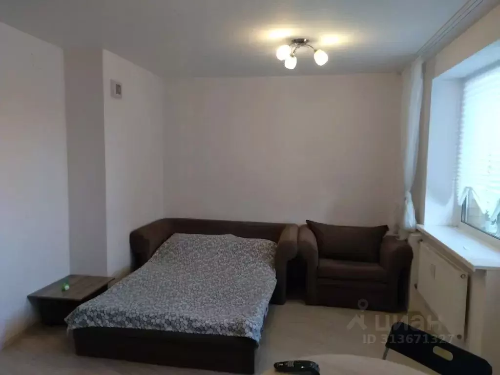 Студия Санкт-Петербург ул. Шкапина, 13 (30.0 м) - Фото 1