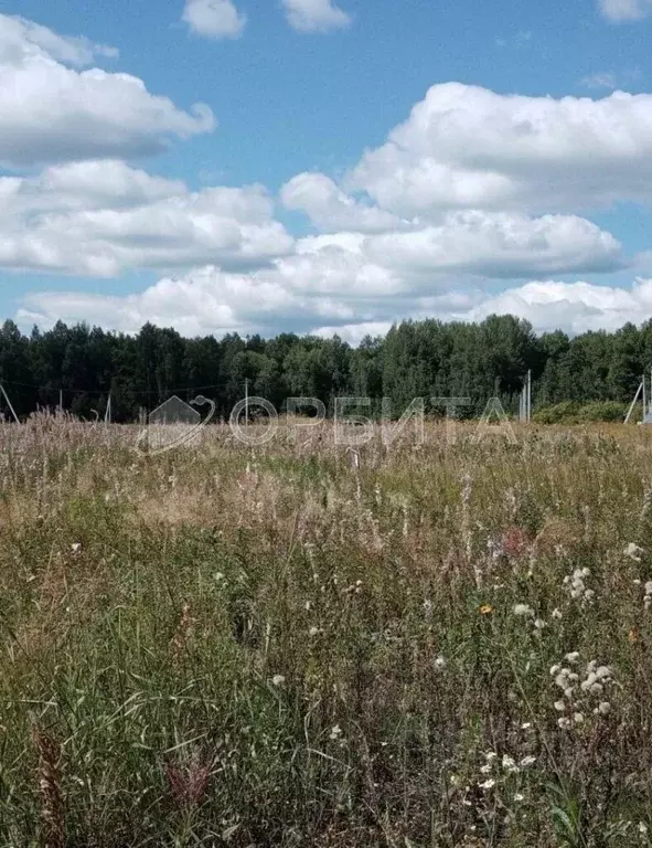 Участок в Тюменская область, Тюменский муниципальный округ, д. Большие ... - Фото 2