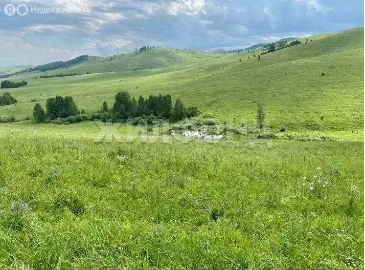 Участок в Алтайский район, село Верх-Ая (10.5 м) - Фото 1