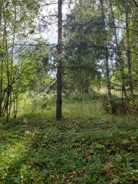 Участок в Ивановская область, Юрьевецкий район, Михайловское с/пос, д. ... - Фото 2