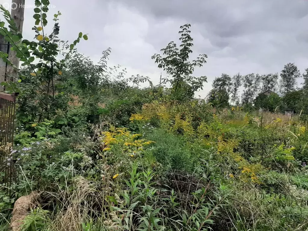 Участок в Тамбов, СНТ Ветеран, 32 (7.8 м) - Фото 2