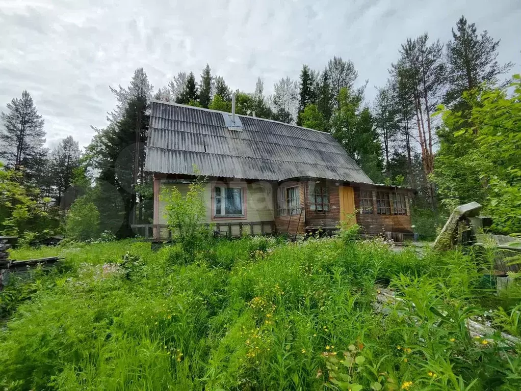 Дом 42,3 м на участке 20 сот. - Фото 0