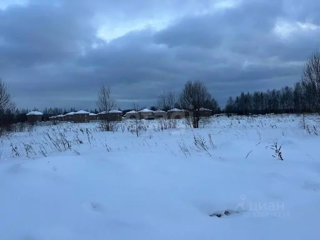 Участок в Ярославская область, Ярославский муниципальный округ, ... - Фото 2