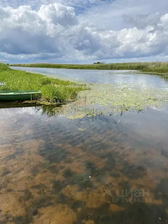 Участок в Псковская область, Псковский район, Логозовская волость, д. ... - Фото 1