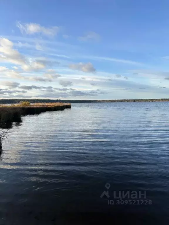 Участок в Ленинградская область, Всеволожский район, Куйвозовское ... - Фото 0