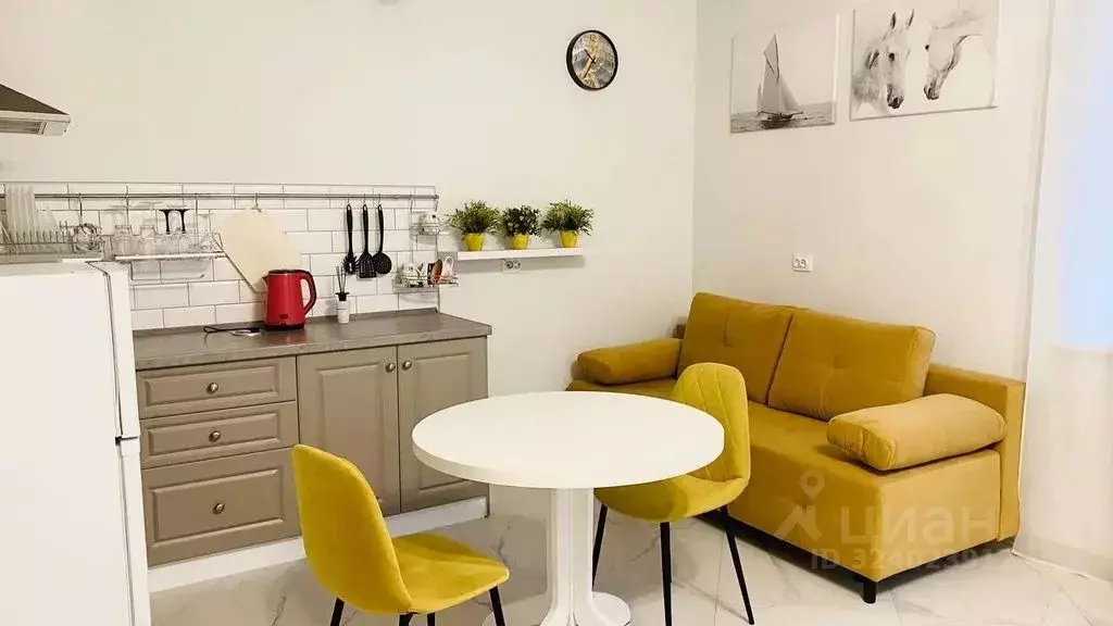 Студия Калининградская область, Светлогорск Сосновая ул., 16 (28.0 м) - Фото 2