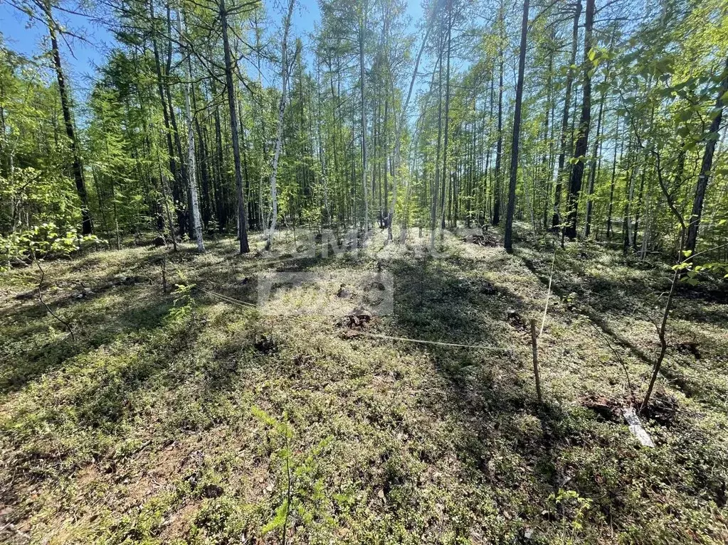 Участок, 11.1 сот., сельхоз (снт или днп) - Фото 0