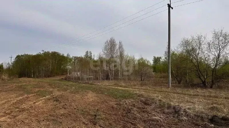 Участок в Амурская область, Благовещенский район, с. Игнатьево  (30.0 ... - Фото 1