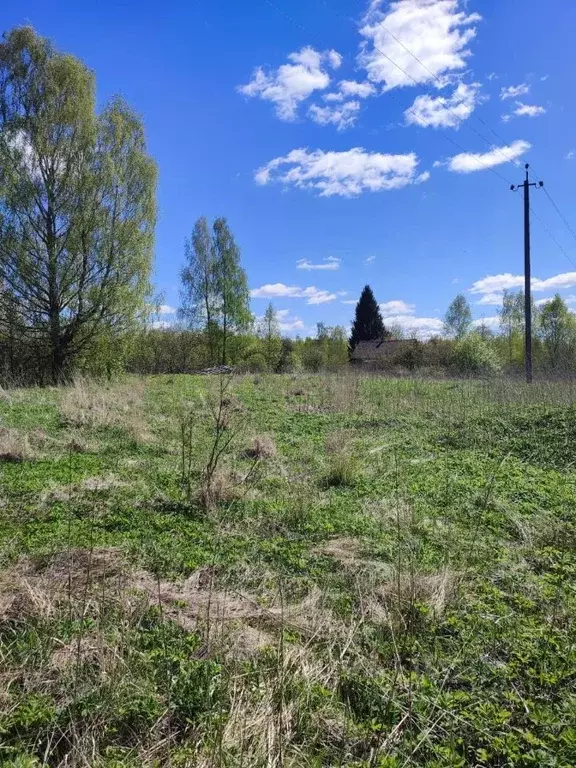 Участок в Псковская область, Опочецкий муниципальный округ, д. ... - Фото 0