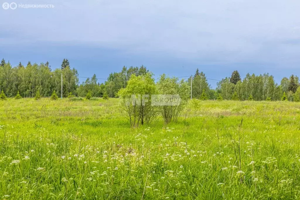 Участок в деревня Афинеево (100 м) - Фото 0
