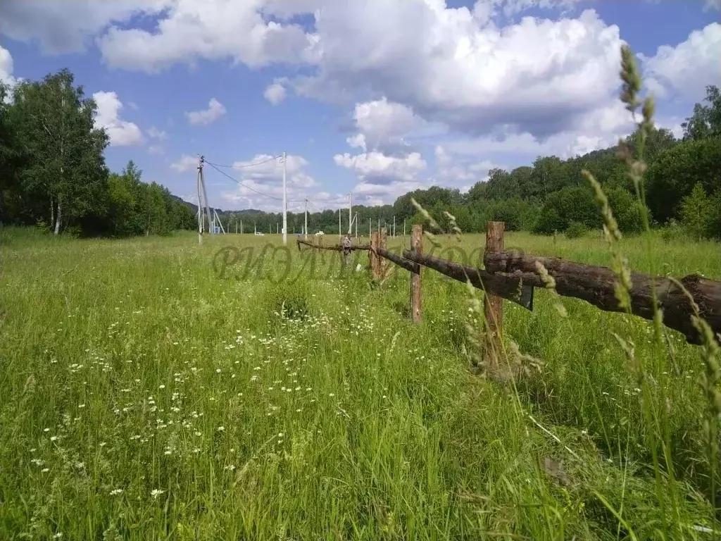 Участок в Алтай, Майминский район, Соузгинское с/пос, пос. Черемшанка ... - Фото 1