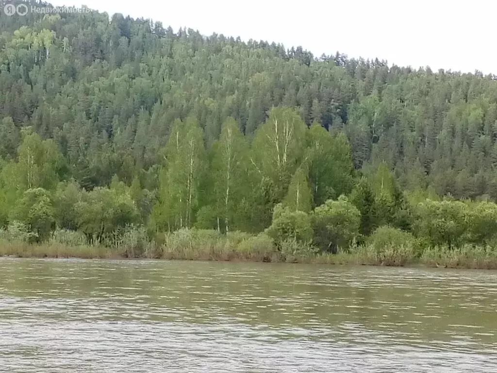 Участок в Турочакский район, Турочакское сельское поселение (248 м) - Фото 2