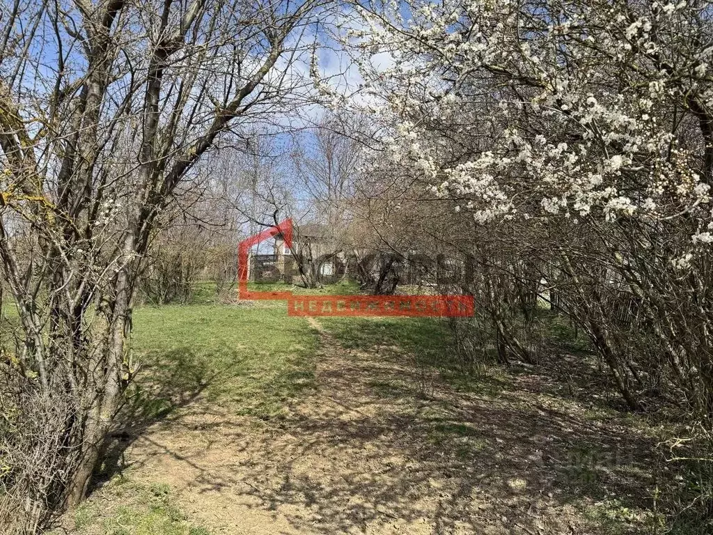 Участок в Севастополь с. Передовое, ул. Минчугова, 26/1 (4.4 сот.) - Фото 2