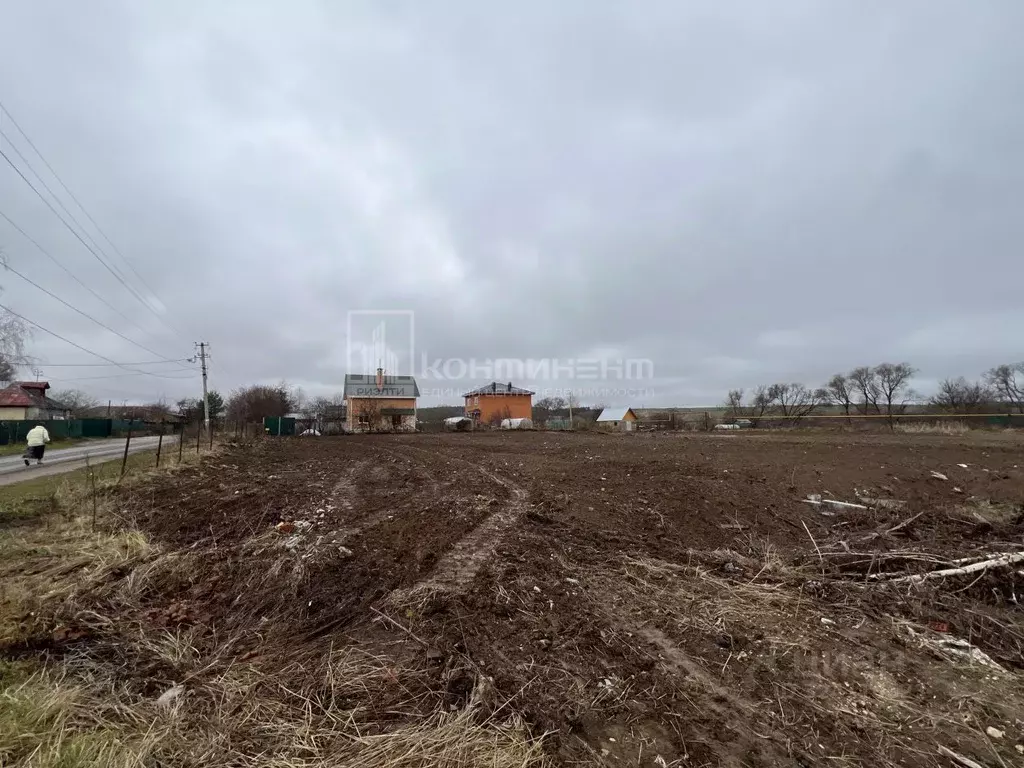 Участок в Владимирская область, Суздальский район, Новоалександровское ... - Фото 2
