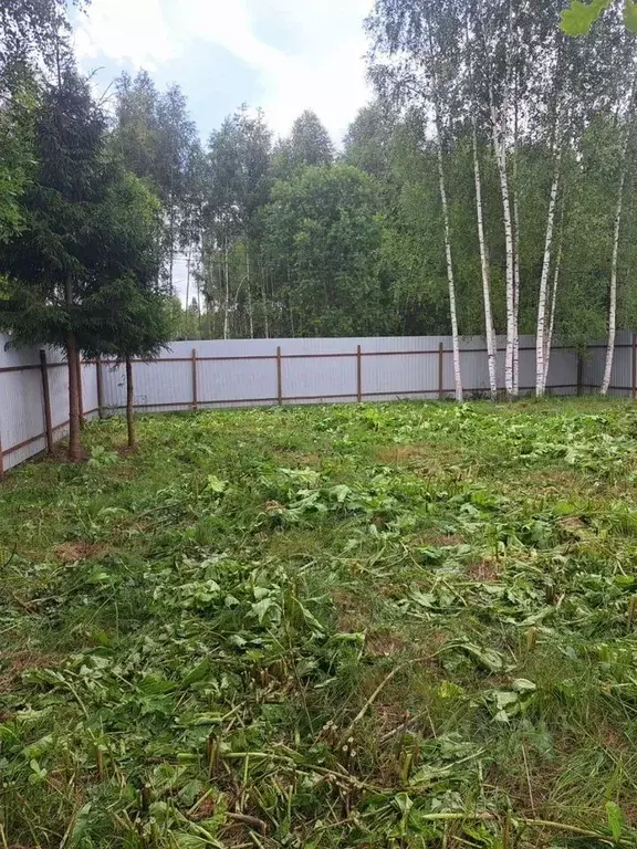 Участок в Московская область, Клин городской округ, д. Давыдково  (8.0 ... - Фото 1