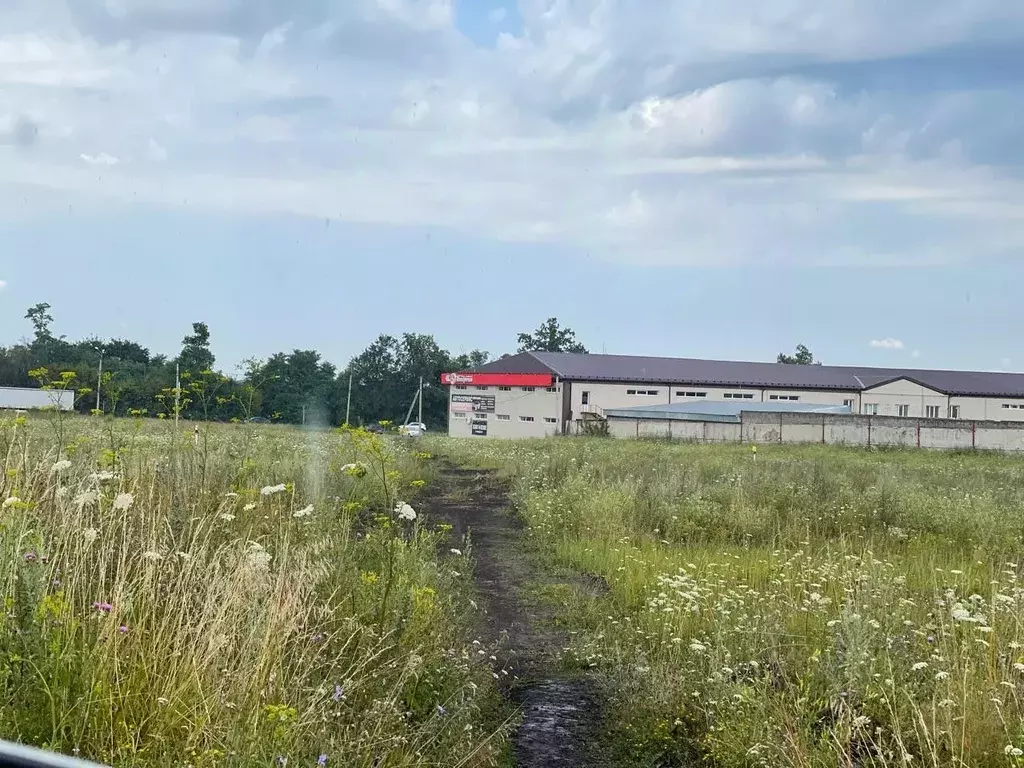 участок в курская область, курский район, новопоселеновский сельсовет, . - Фото 0