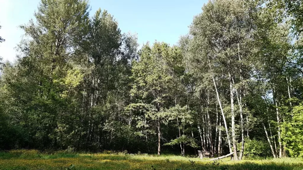 Участок в Владимирская область, Киржачский район, Филипповское ... - Фото 0