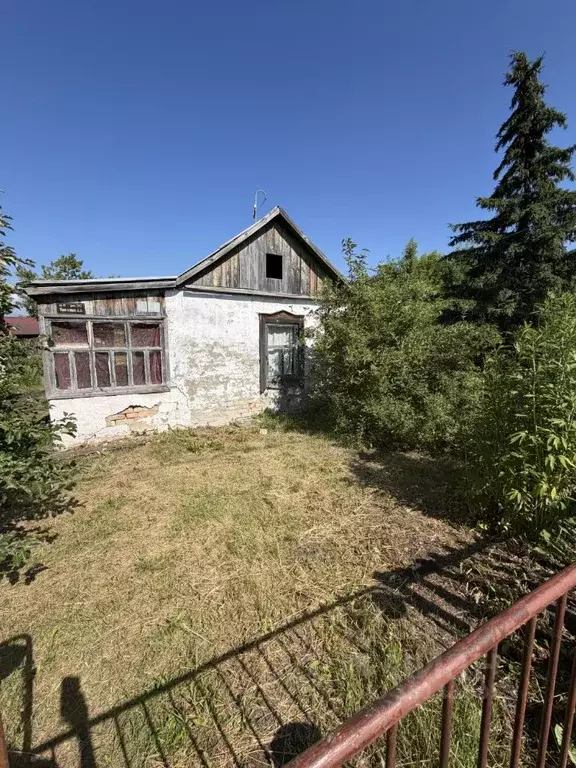 Участок в Курганская область, Курган Мир СНТ, 342 (6.0 сот.) - Фото 2