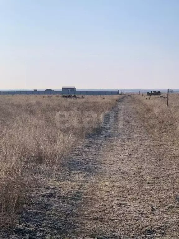 Участок в Крым, Раздольненский район, Славновское с/пос, Отдых СНТ  ... - Фото 1