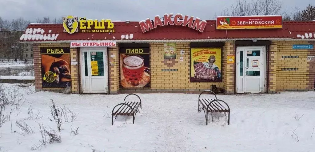 Торговая площадь в Нижегородская область, Володарск ул. Мичурина, 5Б ... - Фото 0