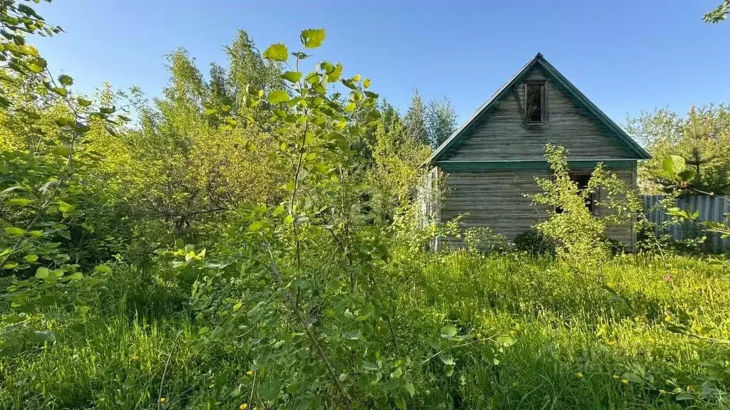 Участок в Московская область, Видное Победа СНТ, 86 (6.0 сот.) - Фото 1