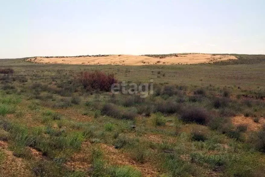 Участок в Волгоградская область, Волгоград 6 кв-л, 52 (8.1 сот.) - Фото 2