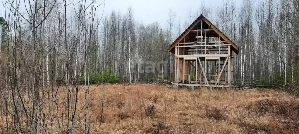 Участок в Ханты-Мансийский АО, Ханты-Мансийск  (9.8 сот.) - Фото 0