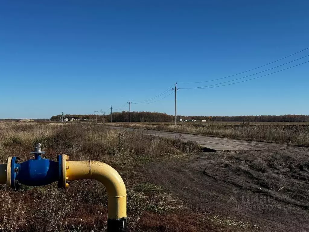 Участок в Тюменская область, Тюменский муниципальный округ, ... - Фото 2