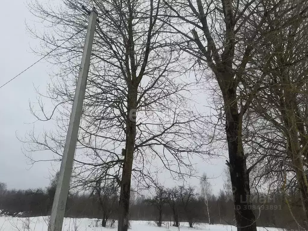 Участок в Псковская область, Островский район, Воронцовская волость, ... - Фото 1