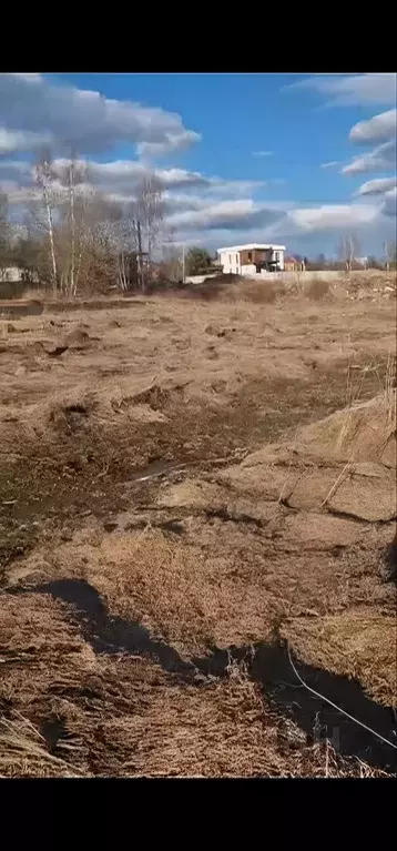 Участок в Московская область, Химки городской округ, д. Подолино  (5.0 ... - Фото 1