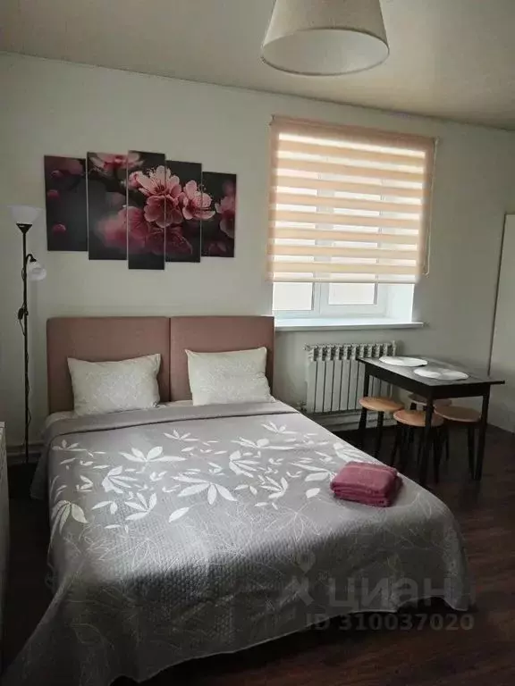 Студия Московская область, Дмитров Кропоткинская ул., 58 (26.0 м) - Фото 1