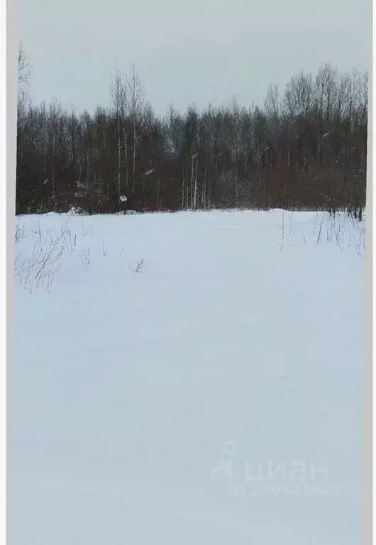 Участок в Пермский край, Пермь Молодежный СНТ, 1 (6.0 сот.) - Фото 0