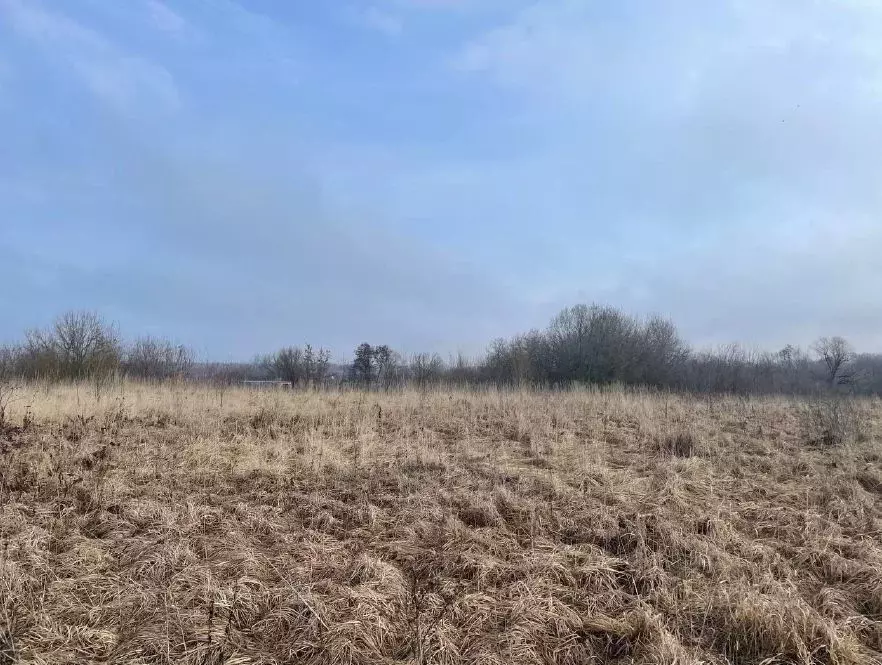 Участок в Московская область, Воскресенск городской округ, с. Ачкасово ... - Фото 0
